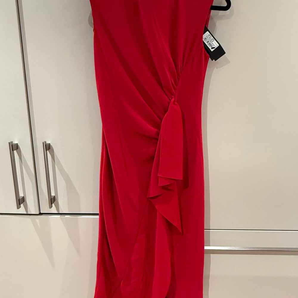 NWT Pinko Dress